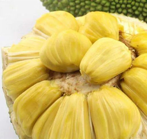 富硒维生素c的水果(富维生素c的水果)-硒宝网