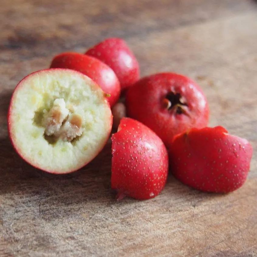 富硒维生素c的水果(富维生素c的水果)-硒宝网