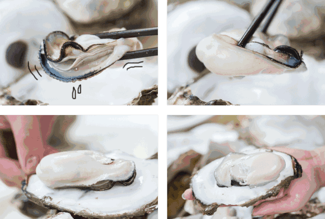 硒金牡蛎是什么产品(硒金牡蛎肽)-硒宝网