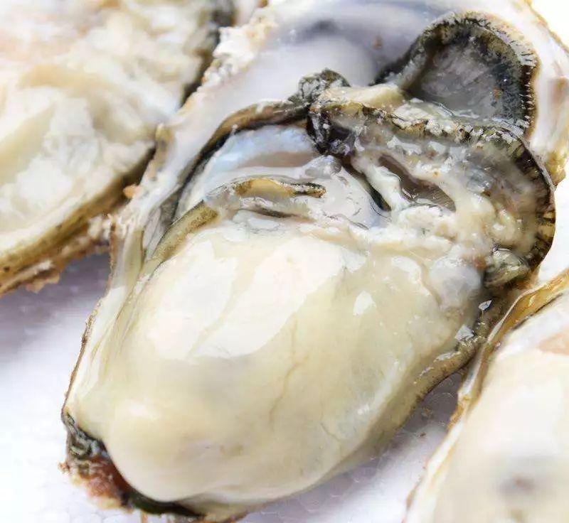 硒金牡蛎是什么产品(硒金牡蛎肽)-硒宝网