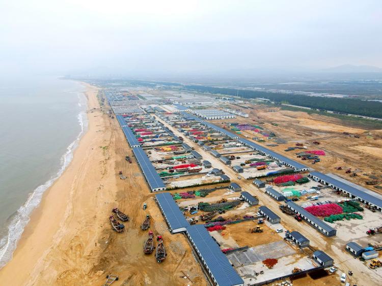 硒金牡蛎是什么产品（硒金牡蛎压片糖果）-硒宝网