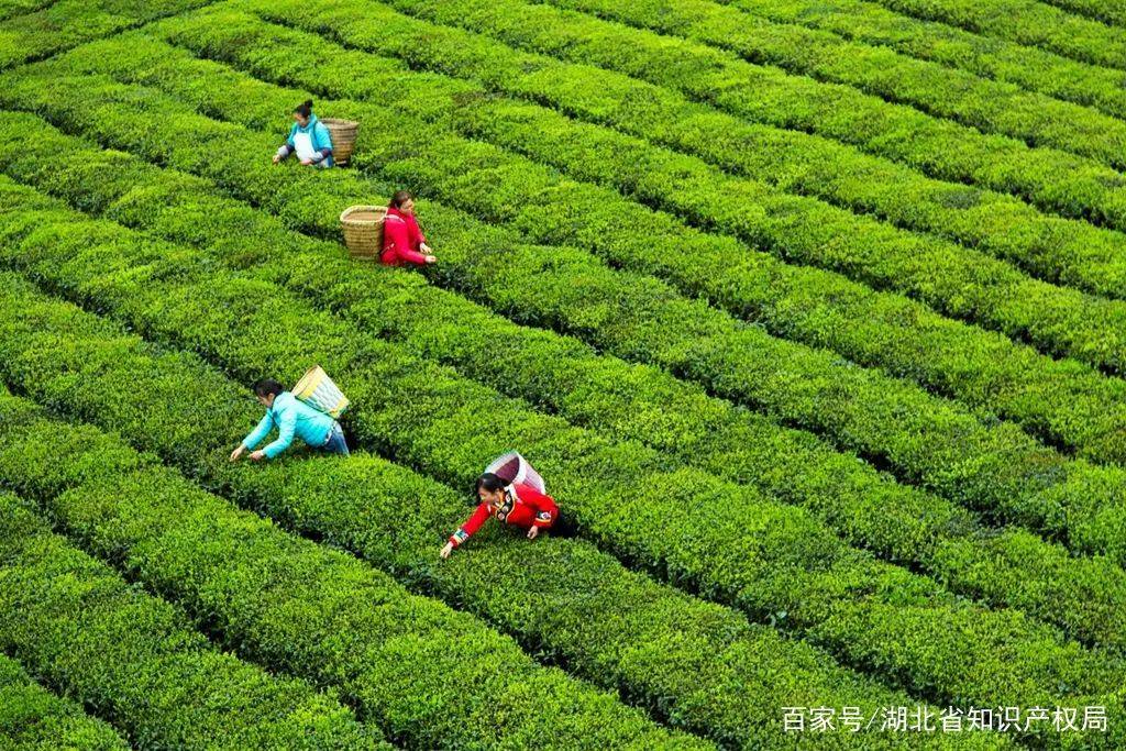 恩施硒产品电商平台（恩施的硒产品）-硒宝网