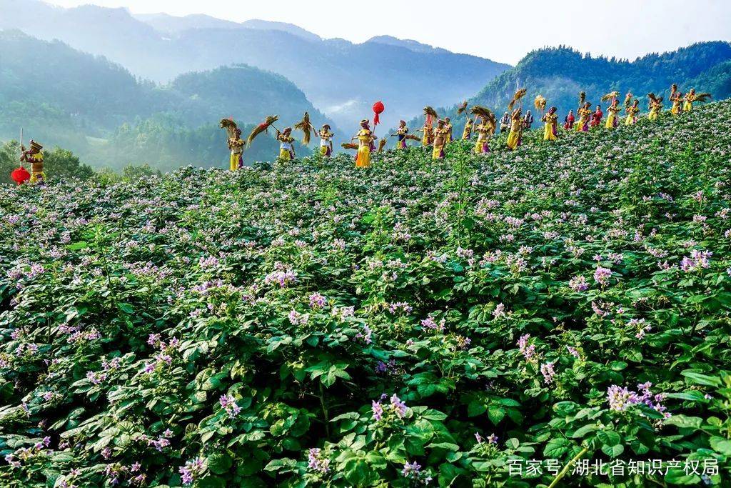 恩施硒产品电商平台（恩施的硒产品）-硒宝网
