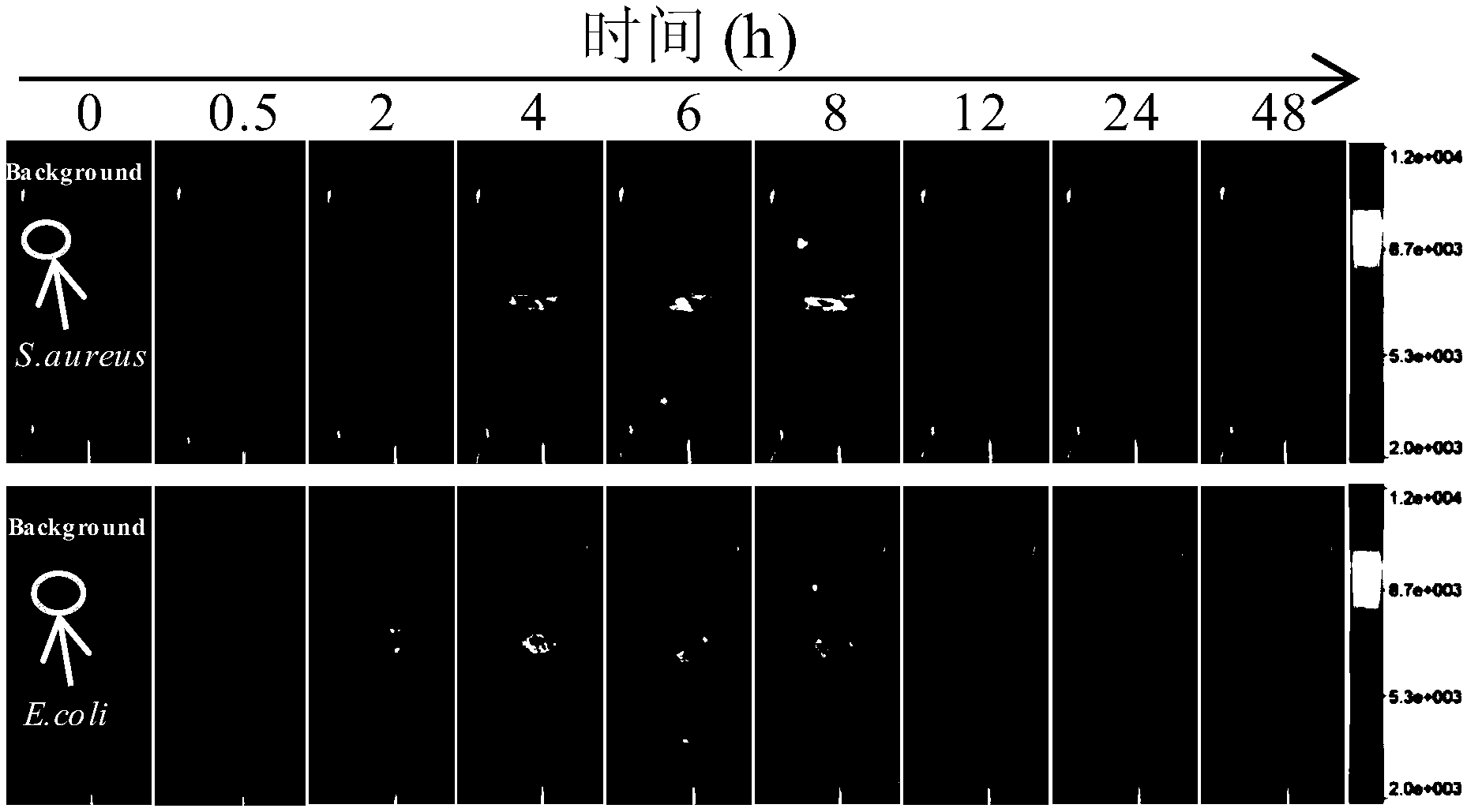 纳米硒源产品是什么(纳米硒的作用机理)-硒宝网