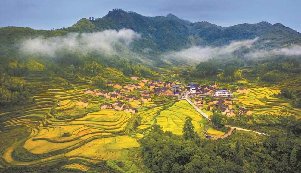 寿宁硒锌农产品认定（寿宁锌葡萄）-硒宝网