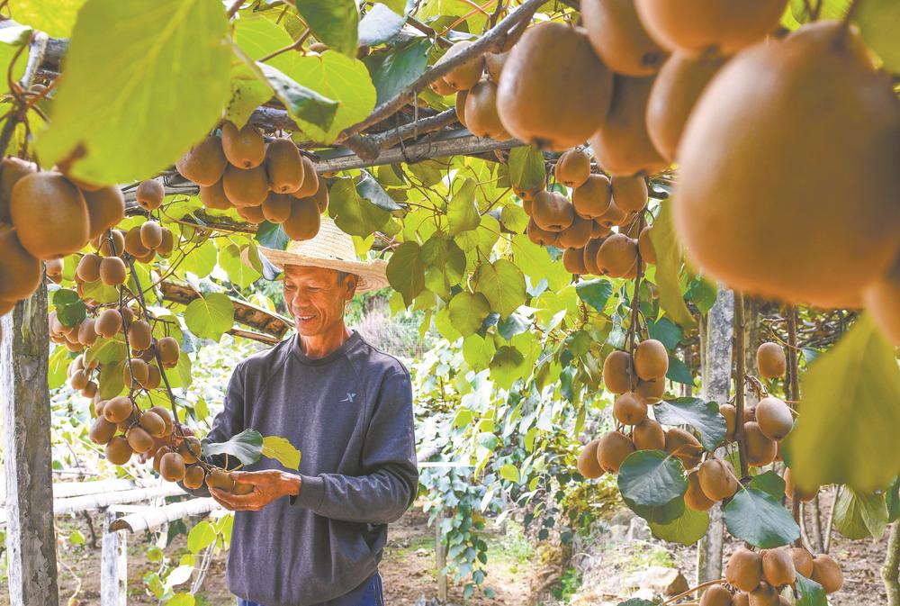 寿宁硒锌农产品认定（寿宁锌葡萄）-硒宝网