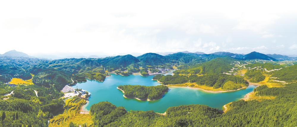 寿宁硒锌农产品认定（寿宁锌葡萄）-硒宝网