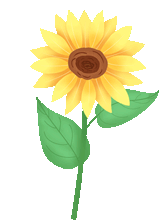 亲硒元硒产品及价格（硒多少钱一盒）-硒宝网