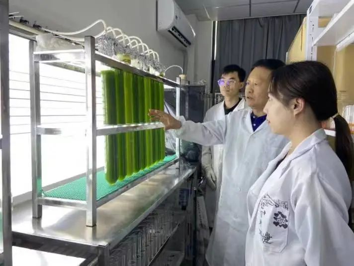 亲硒元硒产品及价格（硒多少钱一盒）-硒宝网