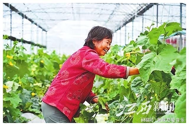 于都含硒产品怎么样（于都富硒蔬菜基地）-硒宝网