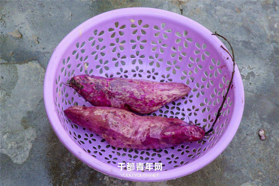 于都含硒产品怎么样（于都富硒蔬菜基地）-硒宝网