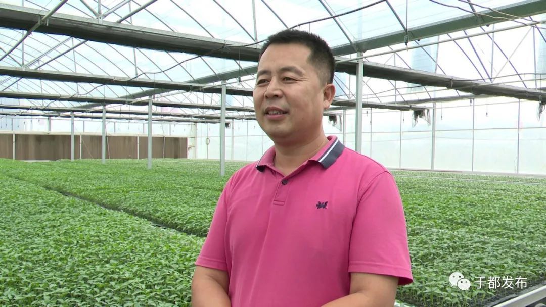 于都含硒产品怎么样（于都富硒蔬菜基地）-硒宝网