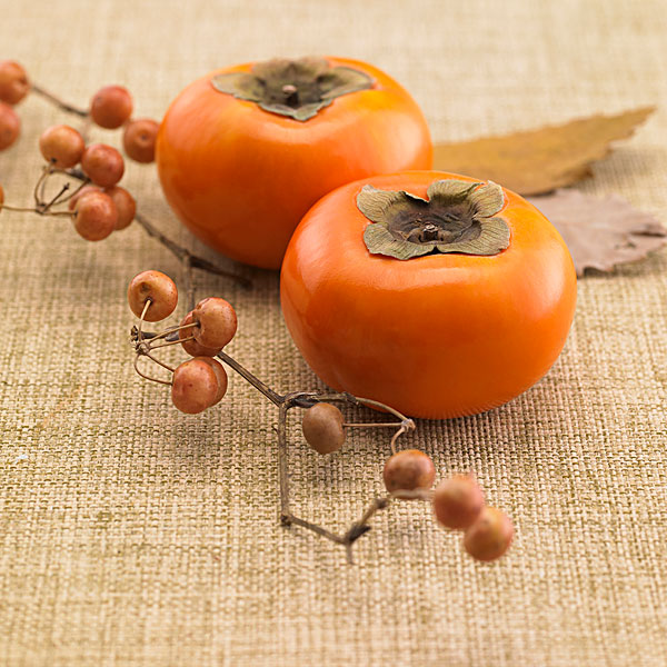 纳米硒源产品是什么（纳米硒的价格是多少）-硒宝网