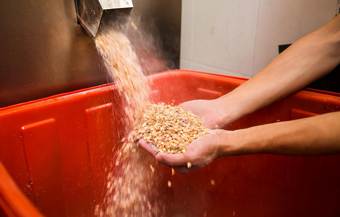 哪些硒产品是麦芽硒(硒麦芽是什么东西在哪里能买到)-硒宝网