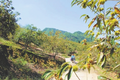 锌硒康养农产品基地(锌农康养基地产品硒含量多少)-硒宝网