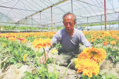 锌硒康养农产品基地(锌农康养基地产品硒含量多少)-硒宝网