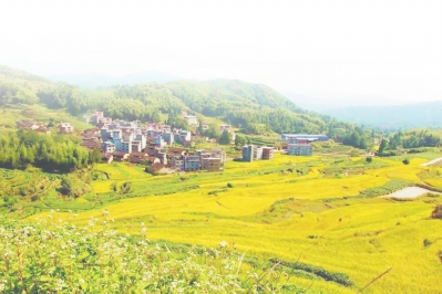 锌硒康养农产品基地(锌农康养基地产品硒含量多少)-硒宝网