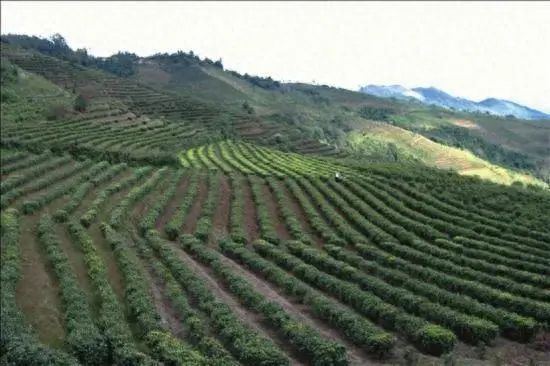 中国硒健康产品示范(硒保健食品)-硒宝网