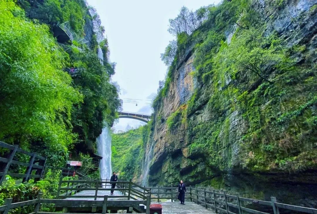 恩施硒超市推荐产品(恩施硒产品骗局怎么办)-硒宝网