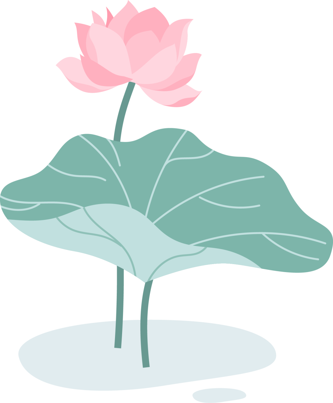 恩施硒超市推荐产品(恩施硒产品骗局怎么办)-硒宝网