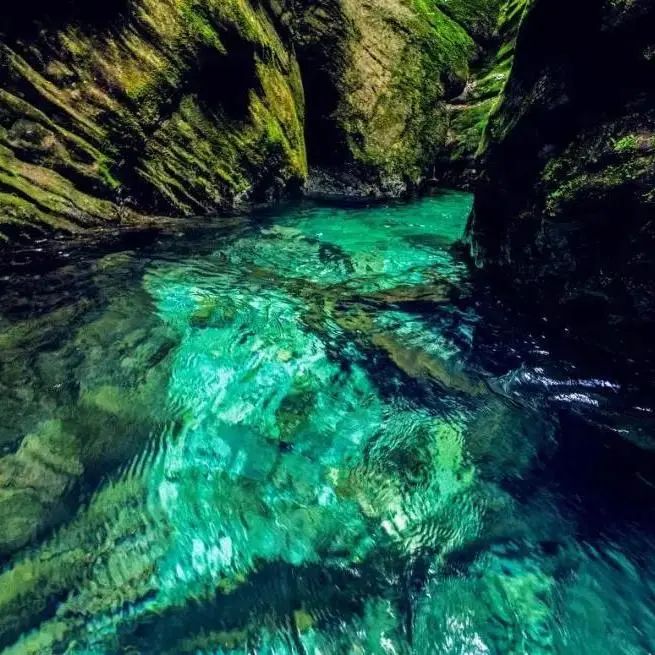 恩施硒超市推荐产品(恩施硒产品骗局怎么办)-硒宝网