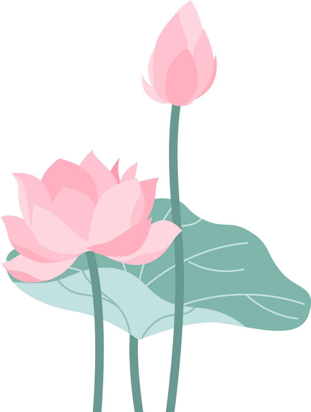 恩施硒超市推荐产品(恩施硒产品骗局怎么办)-硒宝网