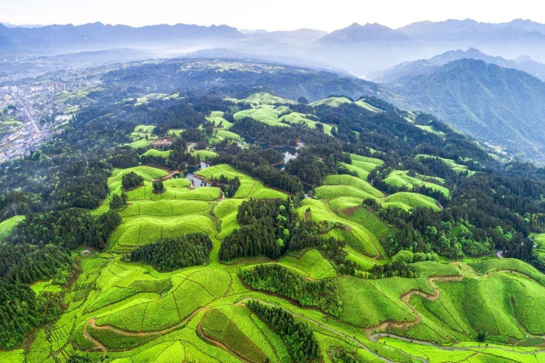 湖北利川硒产品新米（利川硒含量高的地方）-硒宝网