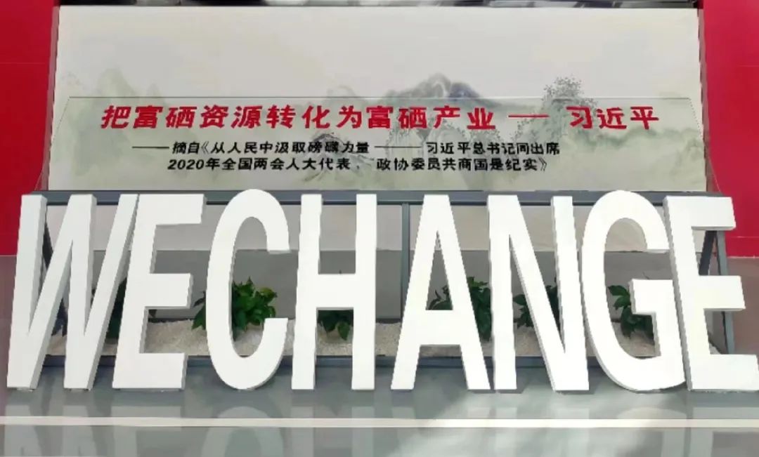 硒技术产品推广方案(推广产品的方案)-硒宝网