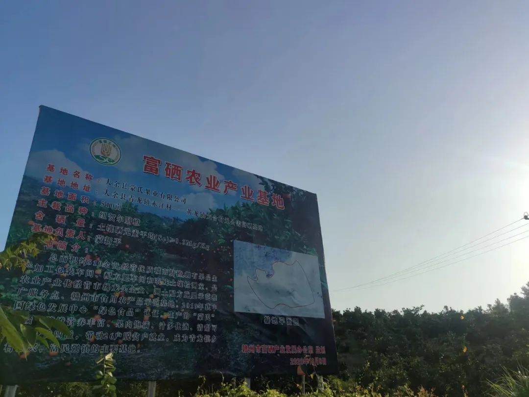 硒技术产品推广方案(推广产品的方案)-硒宝网