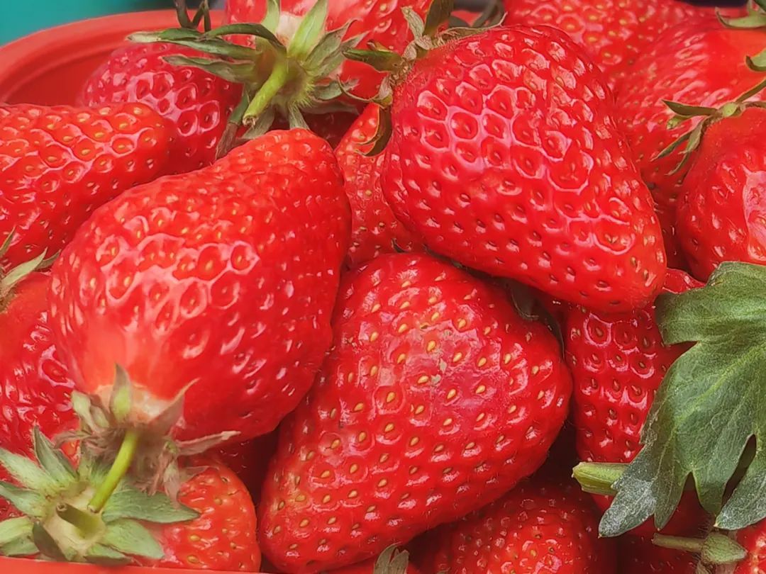 硒技术产品推广方案（推广产品方案策划）-硒宝网