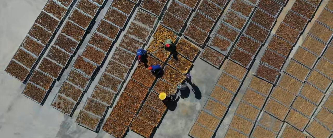 湖北恩施硒产品好不（湖北恩施硒片品种）-硒宝网