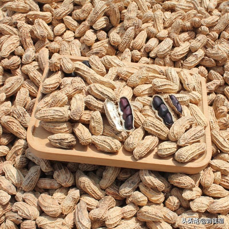 有机硒产品怎么加工（硒食品精深加工）-硒宝网