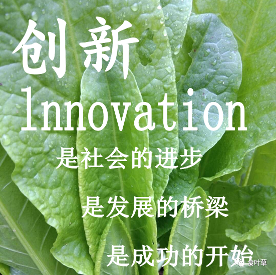 植物硒蛋白产品介绍（蛋白植物介绍产品硒含量高吗）-硒宝网