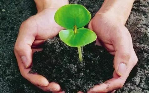 有机硒肥产品 厂家(有机硒肥工厂)-硒宝网