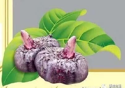 植物硒蛋白产品介绍（蛋白植物介绍产品硒含量多少）-硒宝网