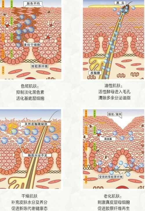 酵母硒产品都有什么(酵母硒的硒含量)-硒宝网