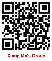 硒产品研究过程综述(纳米硒有机硒与农作物品质研究)-硒宝网