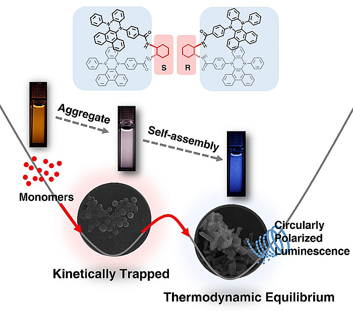 硒产品研究过程综述(纳米硒有机硒与农作物品质研究)-硒宝网