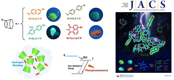 硒产品研究过程综述(纳米硒有机硒与农作物品质研究)-硒宝网
