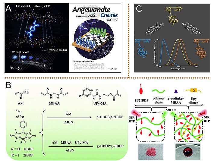 硒产品研究过程综述(纳米硒有机硒与农作物品质研究)-硒宝网