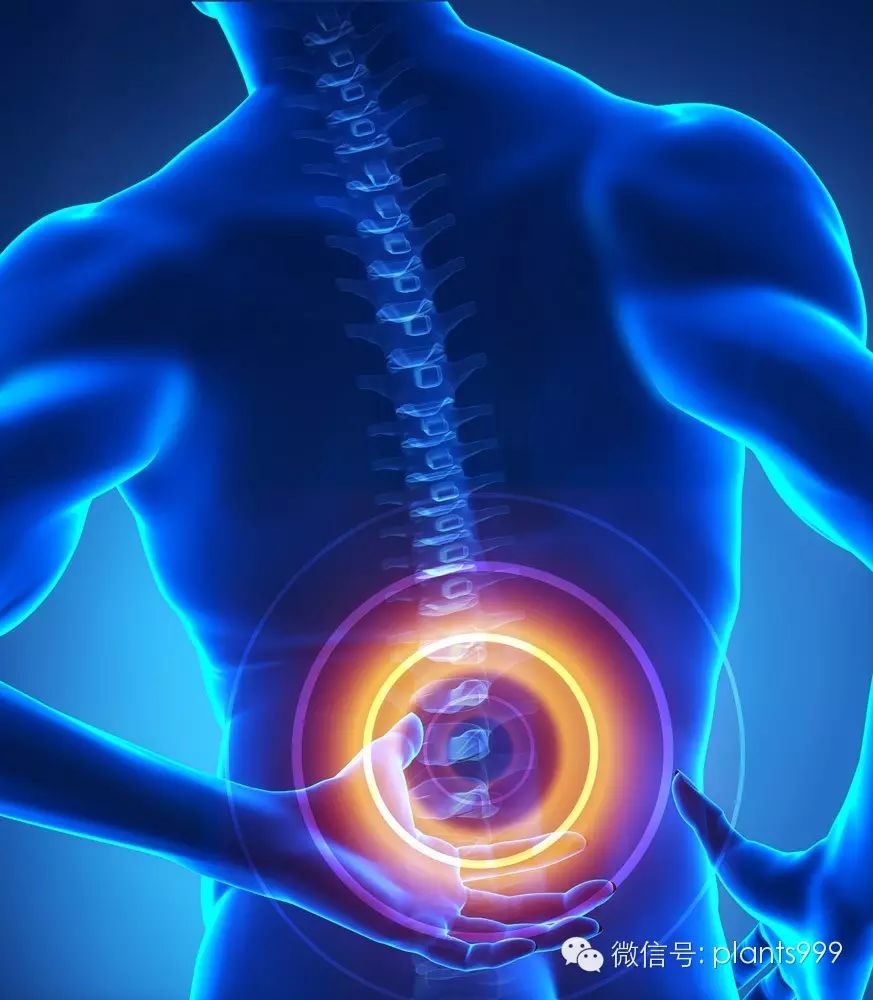 硒多宝产品介绍视频（硒知识讲解视频）-硒宝网