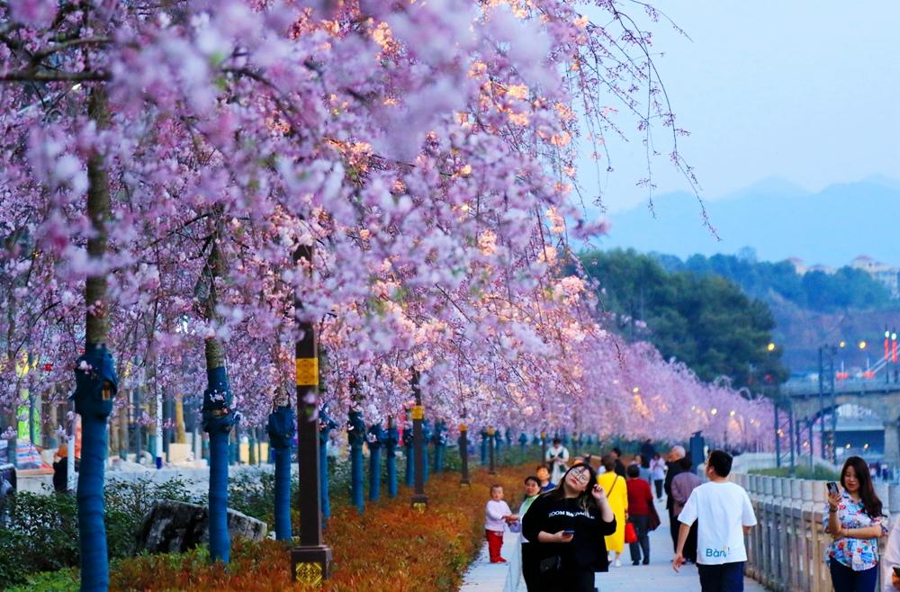 恩施硒产品发展历程（恩施硒产业发展联合会）-硒宝网