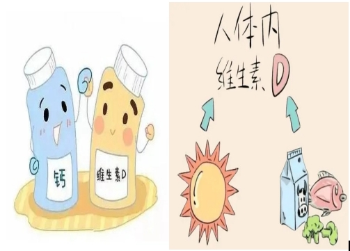 70岁老人补钙吃哪一种比较好(老人补钙好处)-硒宝网