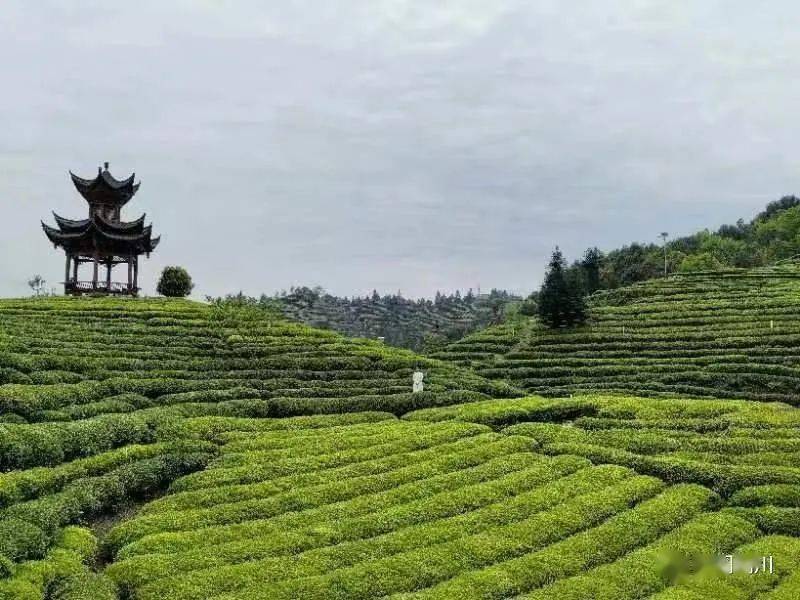 湖北出硒产品的企业（湖北补硒的产品）-硒宝网