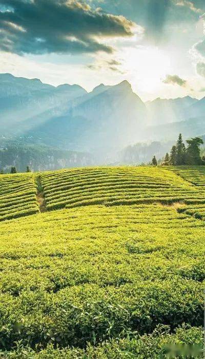 湖北出硒产品的企业（湖北补硒的产品）-硒宝网