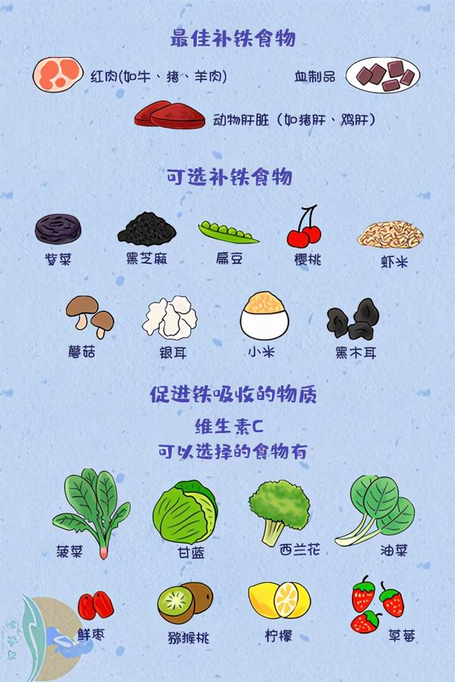 补铁的菜(什么疏菜补铁)-硒宝网