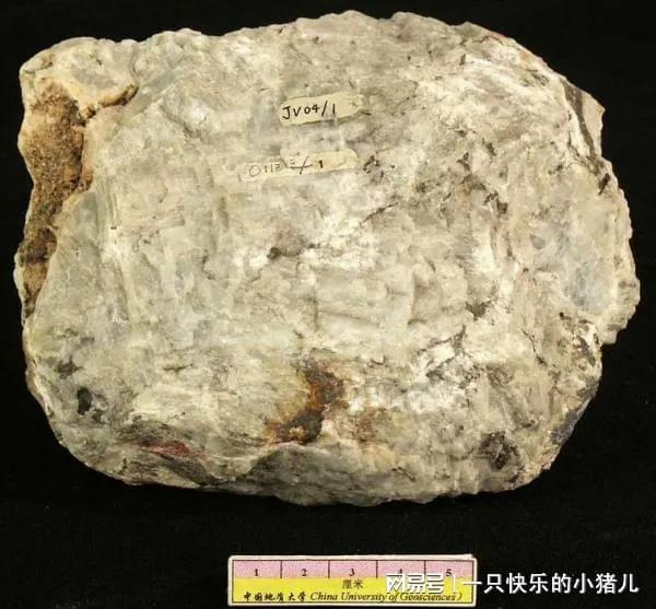 硒土能提炼什么产品(硒的提取加工应用技术)-硒宝网