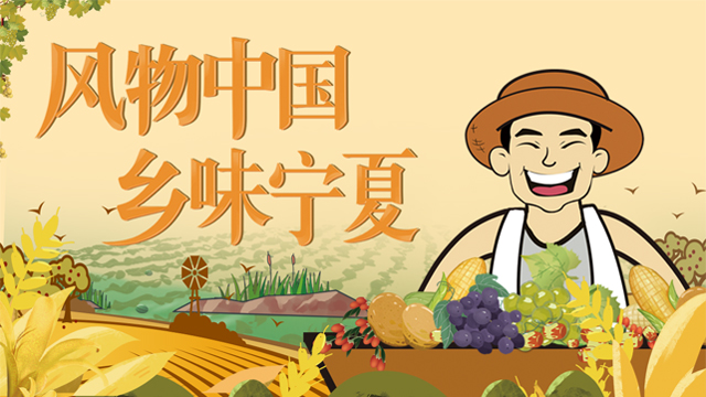 硒砂瓜产品介绍视频（硒砂瓜价格）-硒宝网