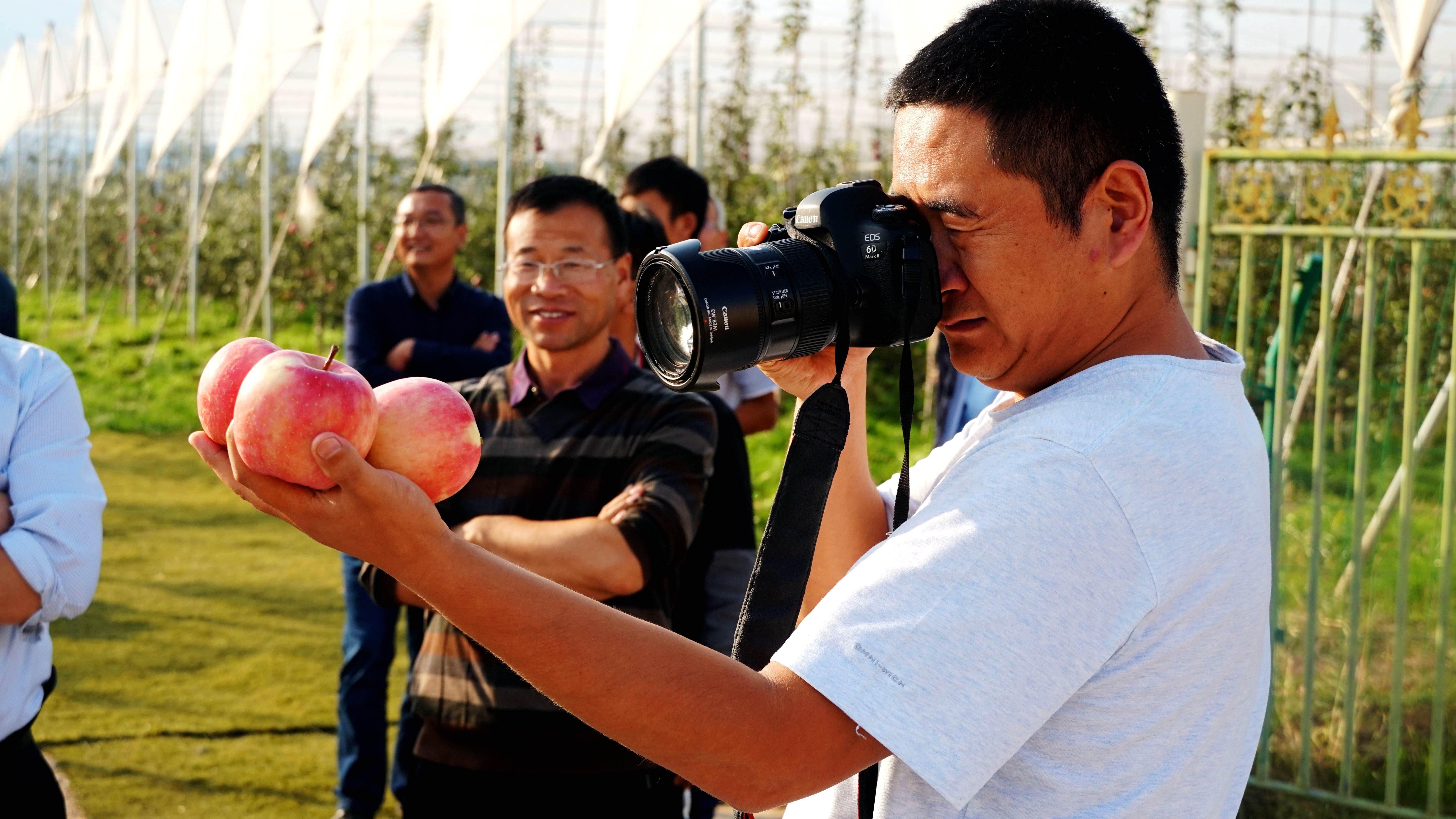 硒砂瓜产品介绍视频（硒砂瓜价格）-硒宝网