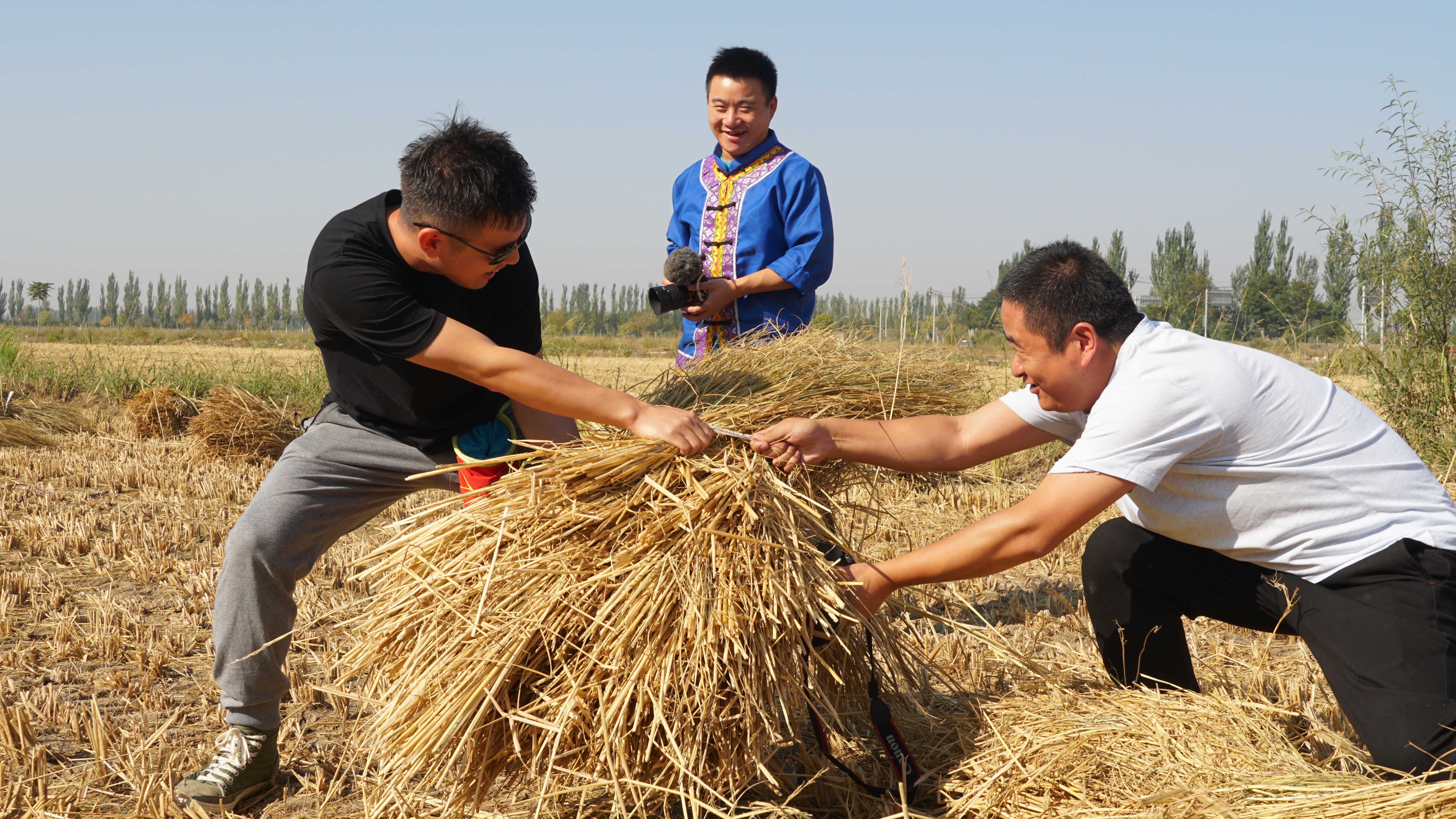 硒砂瓜产品介绍视频（硒砂瓜价格）-硒宝网